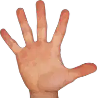 Media Image