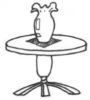 media image