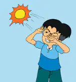Media Image