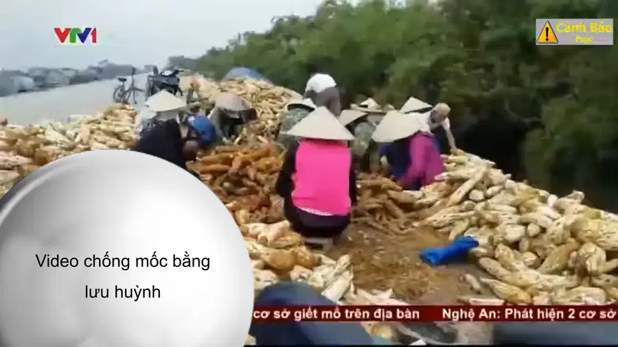 media