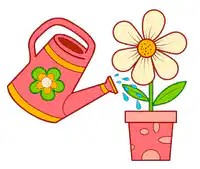 Media Image