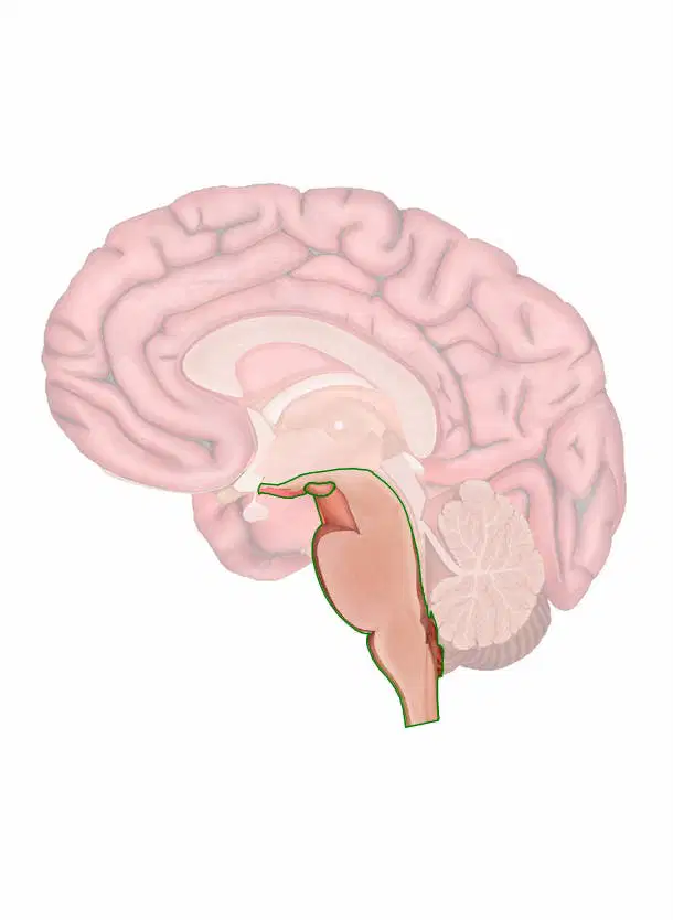 media image