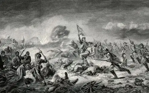 Media Image