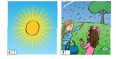 media