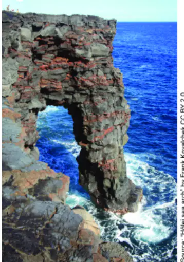 Constructive and Destructive Forces Review 5th Grade Quiz | Wayground