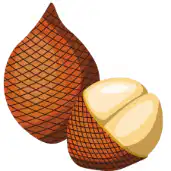 Media Image
