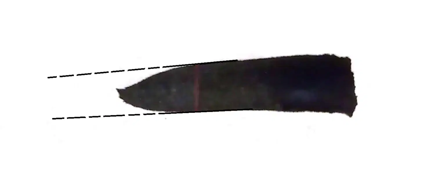 Media Image