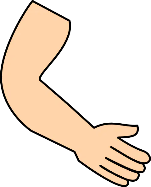 Media Image