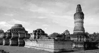 Media Image