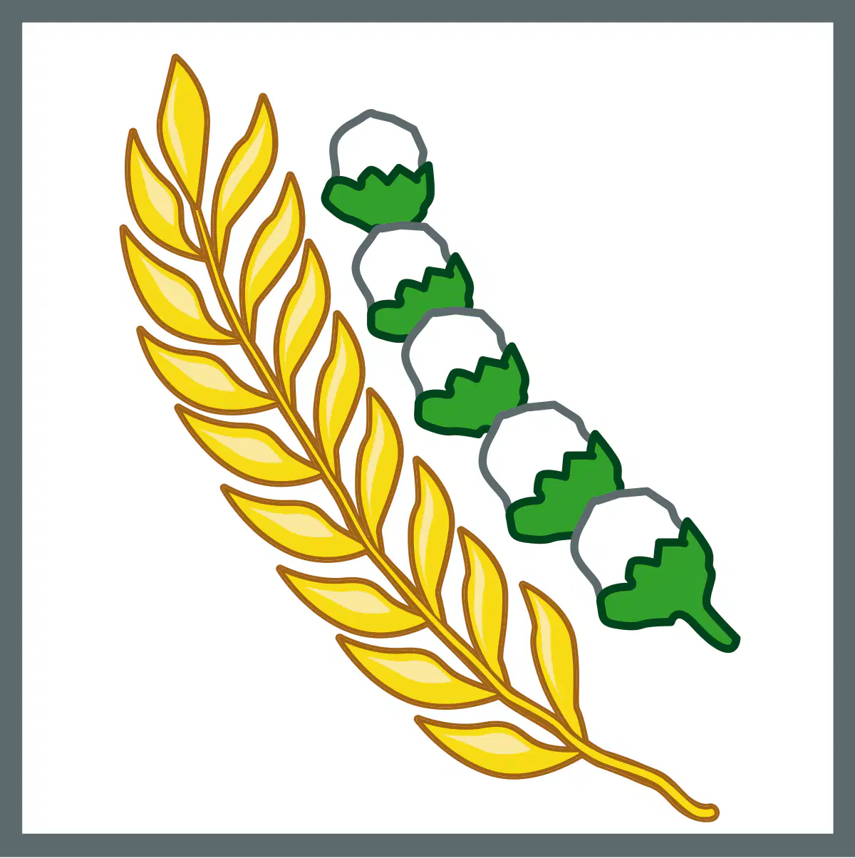 Media Image