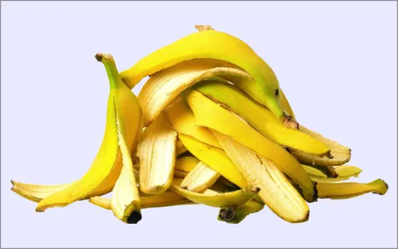 Media Image