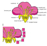 Media Image