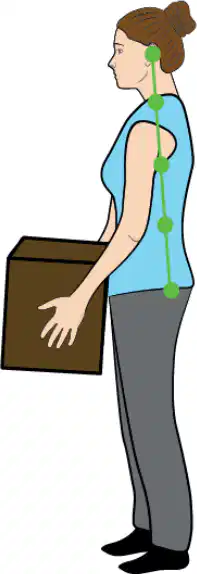 Media Image