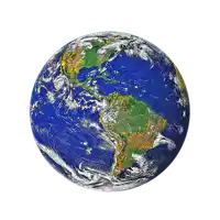 Media Image