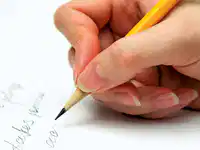 Media Image