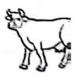 Media Image