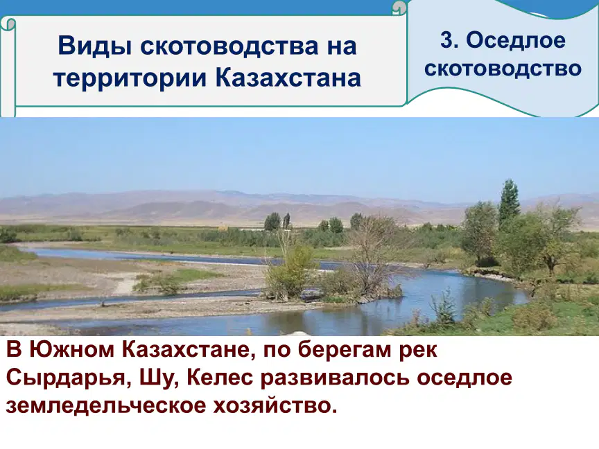 media