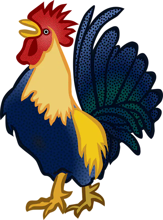 Media Image