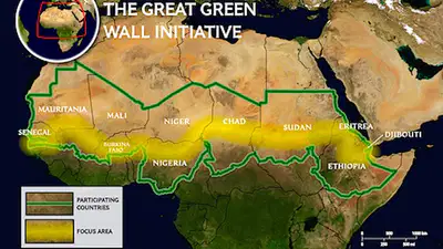 media