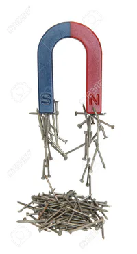 Media Image