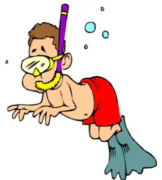 media image