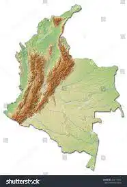 Media Image