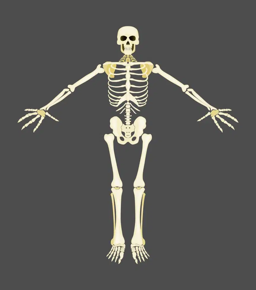 Media Image