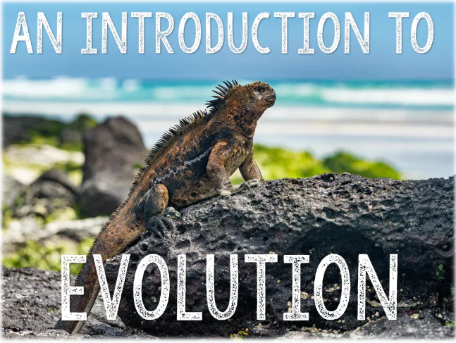  An Introduction to Evolution Lesson - Day 1
