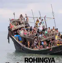 Media Image
