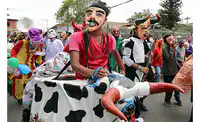 Media Image