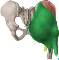 Media Image