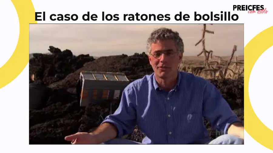 media