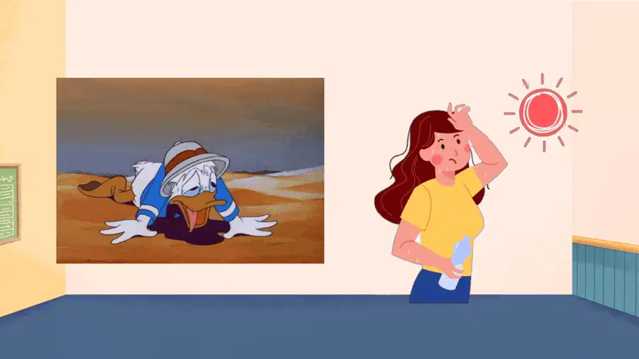 media