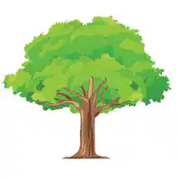 Media Image