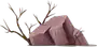 media