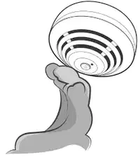 Media Image