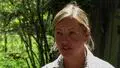 The Hidden Costs of Conventional Pig Farming 11th Grade - University ...