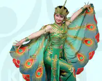 Media Image