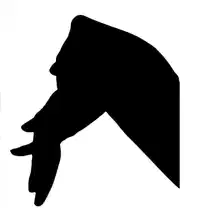 Media Image