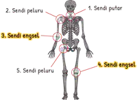 Media Image