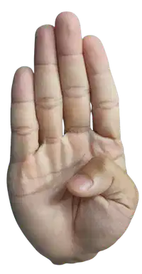 Media Image