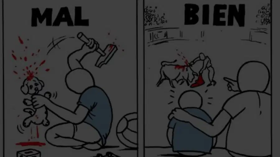 media