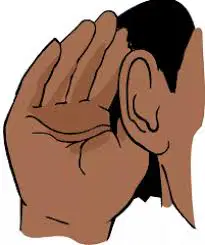 media image