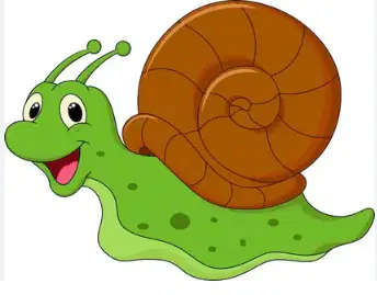 Media Image