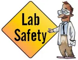SAFETY IN THE LABORATORY