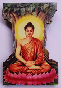 Media Image