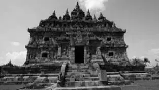 Media Image