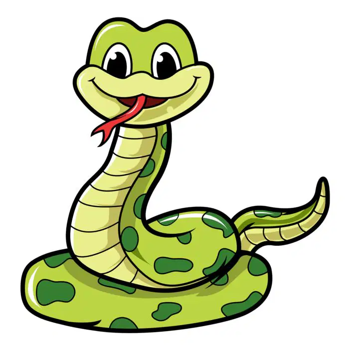 Media Image