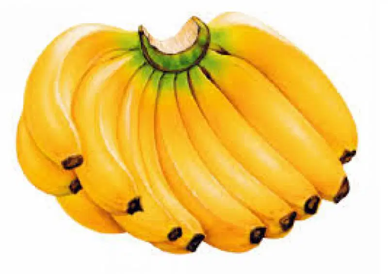 Media Image