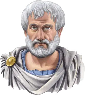 Media Image